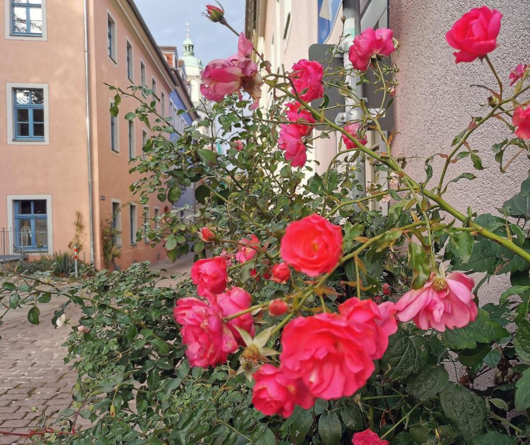 Fynbos Apartments In Der Altstadt, Frauenkirche, Historisch, Parkplatz Meißen Esterno foto