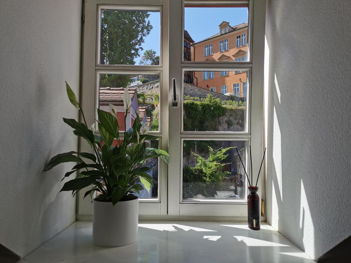 Fynbos Apartments In Der Altstadt, Frauenkirche, Historisch, Parkplatz Meißen Esterno foto